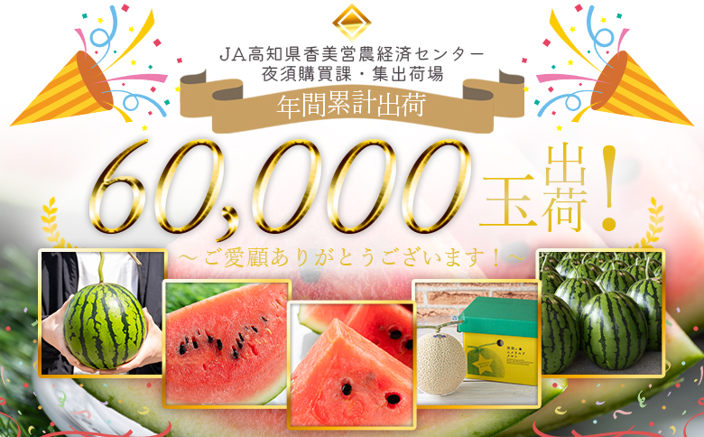 【２回定期便】ルナ・ピエナスイカ(中玉) 1玉 Wyu-0063 1玉【2回定期便】 中玉