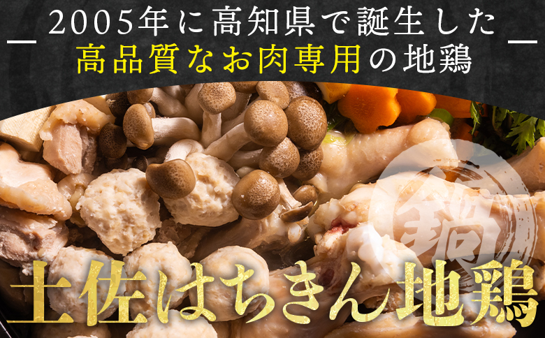 土佐はちきん地鶏 鍋セット 約2～3人前 国産 ad-0001