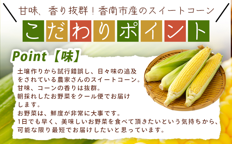 こだわりのスイートコーン 訳あり 10本セット af-0007