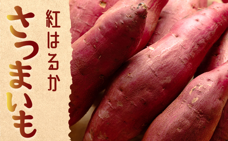 さつまいも(紅はるか) Mサイズ 2kg at-0058 約2kg Mサイズ