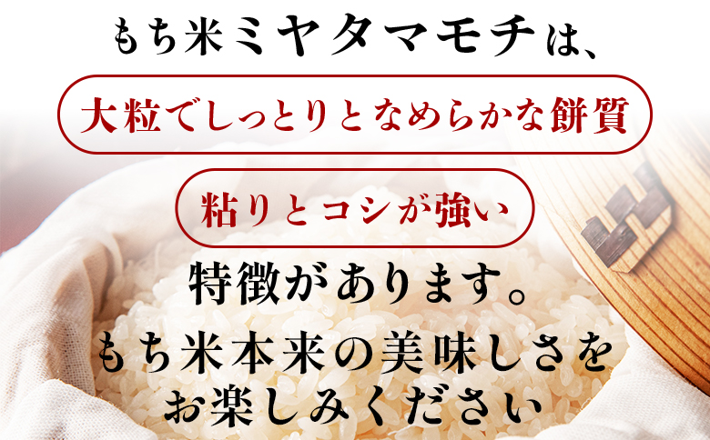 もち米 5kg - ミヤタマモチ 国産 餅 モチ  もちもち おもち おこわ おはぎ ぼたもち お雑煮 赤飯 米 お米 アレンジ 調理 高知県 香南市 常温 at-0071