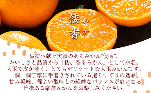 <2027年1月中旬より順次配送＞土佐乃かなや マルチ 献上みかん「倭香(わか)」2.8kg be-0105
