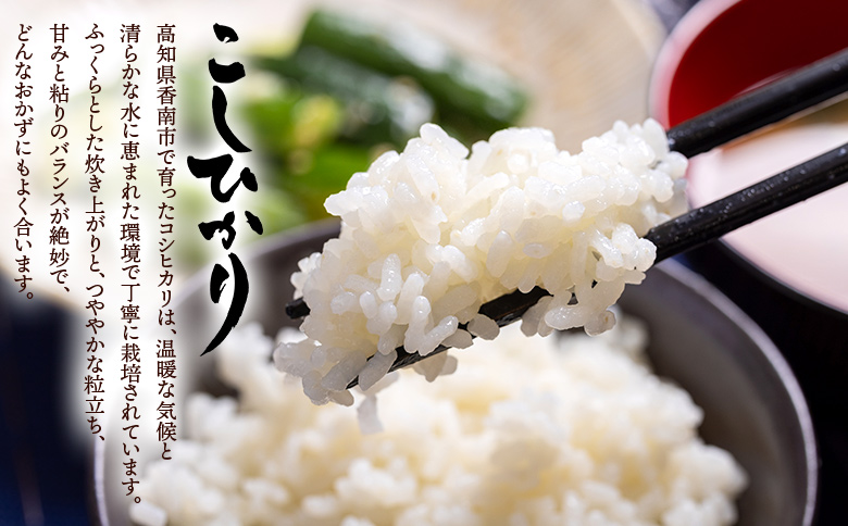 令和7年産 無洗米 コシヒカリ 計約3.6kg cs-0003