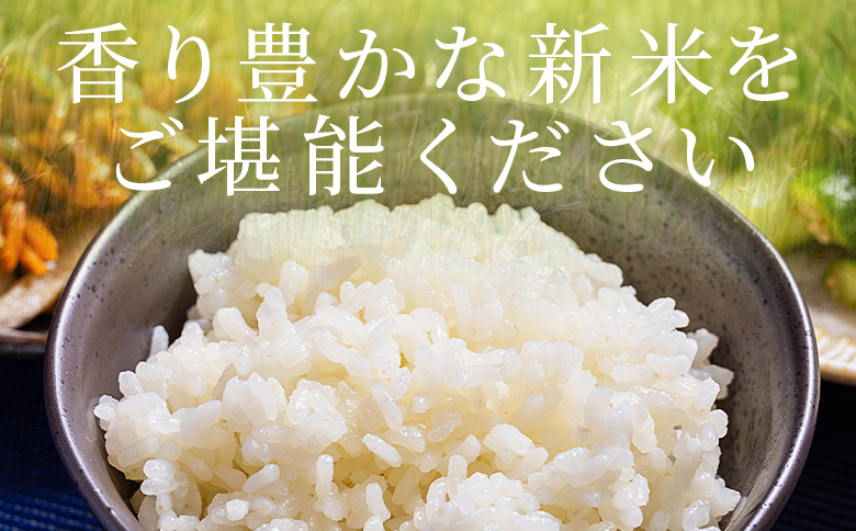 どぶろく工房香南 コシヒカリ 約5kg (令和7年8月収穫) - 国産 高知県産 精米 白米 お米 米 こめ コメ こしひかり ご飯 ごはん おにぎり 食品 どぶろく工房香南 高知県 香南市 常温 db-0043