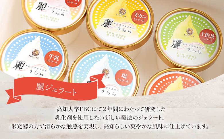 添加物不使用 麗ジェラート 特選 6個 セット - アイスクリーム デザート スイーツ お菓子 洋菓子 詰合せ 詰め合わせ アソート フレーバー ギフト 贈り物 添加物不使用 ドルチェかがみ 高知県 香南市 冷凍 dc-0067