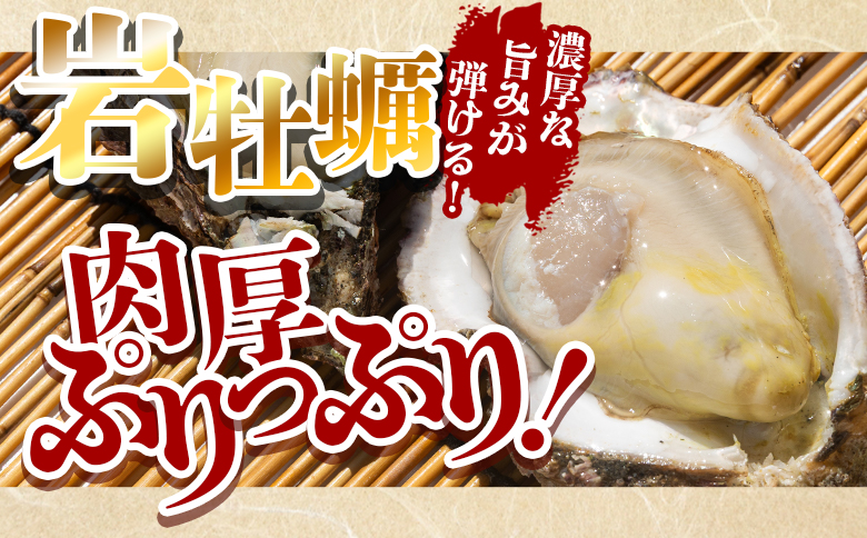 【先行受付】岩牡蠣(殻付き) 2kg 冷蔵 加熱用＜出荷期間：2026年5月～10月＞国産 カキ かき 牡蠣 魚介 海鮮 貝類 殻つき 天然 産地直送 肉厚 フライ 焼き牡蠣 海の幸 えび蔵 高知県 香南市 冷蔵 eb-0034