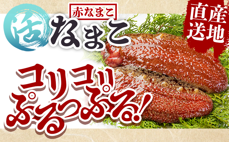 活ナマコ 1.5kg 赤ナマコ - 国産 産地直送 赤なまこ なまこ ナマコ 海鼠 海産物 海鮮 魚介類 刺身 刺し身 炒め物 塩辛 このわた えび蔵 高知県 香南市 冷蔵 eb-0040
