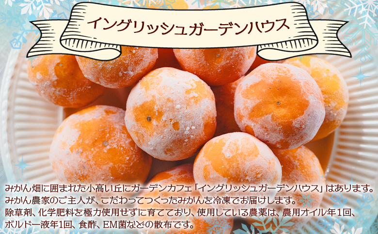 イングリッシュガーデンハウス 冷凍みかん 1kg eh-0038