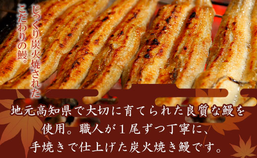 炭火手焼のうなぎ蒲焼130g×2尾セット 蒲焼のたれ付き fb-0141