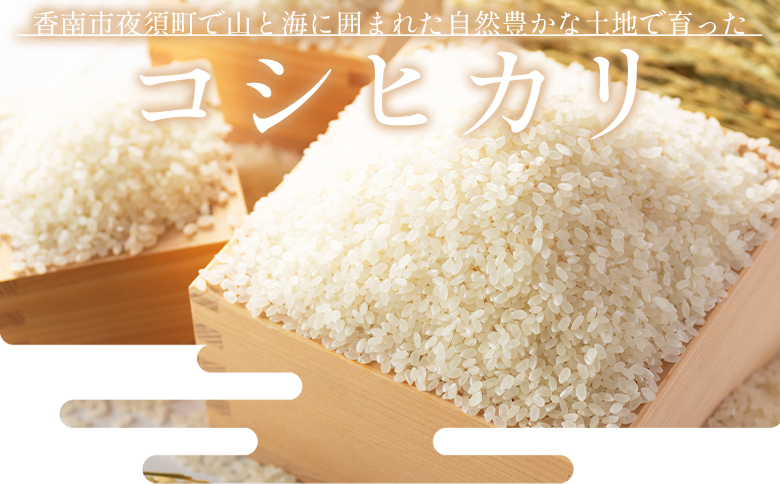 コシヒカリ 計１０kg ga-0007