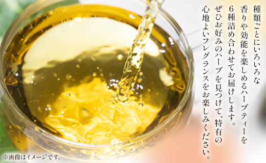 さわやかハーブティー6種の詰め合わせセット - お茶 飲み物 ティーバッグ 茶葉 ミント レモングラス ローズマリー のし ギフト 贈り物 GreenBase 高知県 香南市 gr-0119 6種 詰め合わせ ティーバッグ 合計18袋