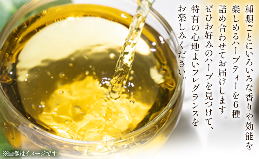 さわやかハーブティー6種の詰め合わせセット 54袋 - お茶 ティーバッグ 茶葉 レモングラス ミント レモンバーム 生姜 ローズマリー ギフト ハーブ gr-0121 6種 詰め合わせ ティーバッグ 合計54袋