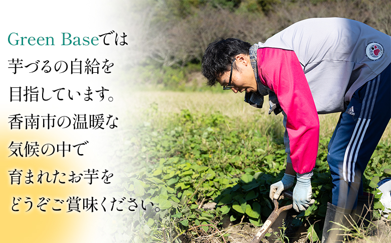 さつまいも シルクスイート 5kg gr-0134