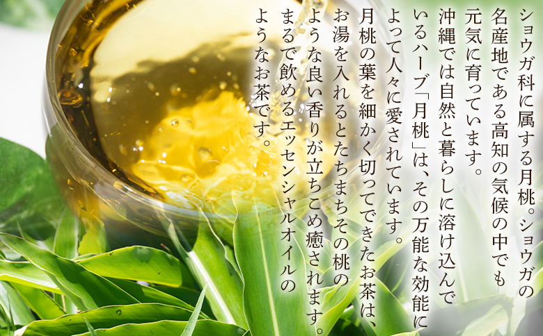 さわやか月桃茶 54袋 と 純黒糖 6パック セット gr-0142