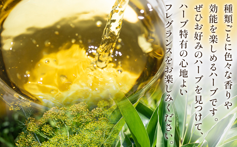 おやすみ月桃・ディルシードブレンドハーブティー 18袋 gr-0144