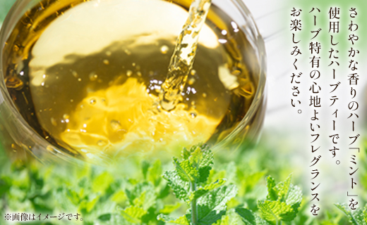 さわやかミントハーブティー 6パックセット gr-0159