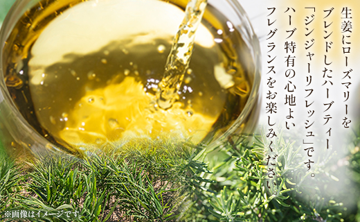 ハーブティー(ジンジャーリフレッシュ) 54袋 gr-0164