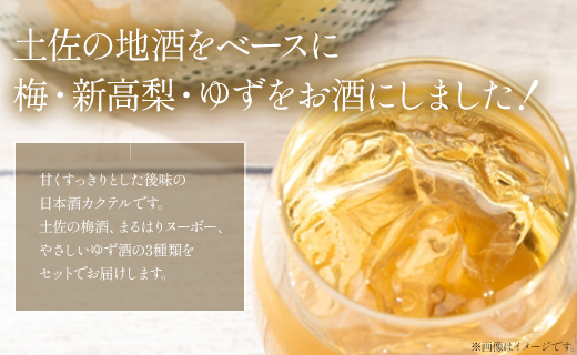 高知特産 果実の香り酒500ml×3種セット gs-0106