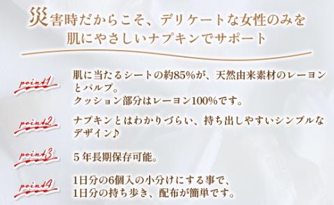 常備用 肌にやさしいナプキン 合計72枚（6枚入り×12個）- 日本製 ふつうの日用 羽なし 約21cm 防災バッグ 災害時用 長期保存可能 5年 生理用品 サニタリー 使い捨て 防災 hg-0024