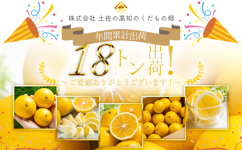 【2026年出荷分】【日向夏】ハウス小夏 2.5kg(ギフト用) 高知 土佐 こなつ 果物 フルーツ 土佐の高知のくだもの畑 【先行予約】 - ミカン みかん 蜜柑 柑橘 ハウス 果物 フルーツ こなつ 贈答用 贈り物 のし対応可 熨斗 国産 kd-0031