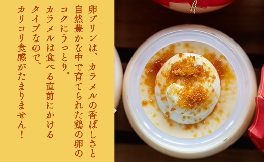 プリン 人気 土佐の贅沢プリン5個 - ぷりん スイーツ 食後 デザート おやつ お菓子 おかし 洋菓子 ティータイム 美味しい おいしい 甘い あまい たまご 香ばしい カラメル 菓子工房コンセルト 高知県 香南市 kn-0035