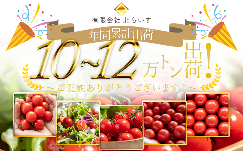【2026年12月以降順次配送分】高糖度＆高機能性 フルーツトマト2kg kr-0085 約1kg×2箱