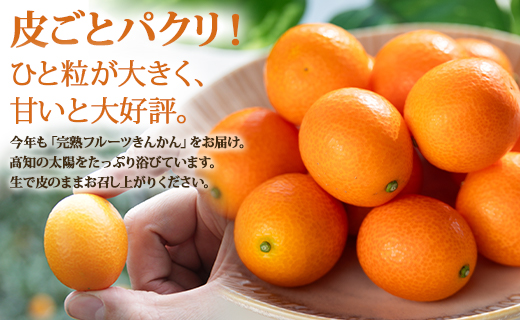 【数量限定】高知の太陽を浴びた 完熟フルーツきんかん 約1kg - 果物 くだもの キンカン 金柑 あまい おいしい 柑橘 送料無料 期間限定 季節もの 高知県 香南市 ku-0032