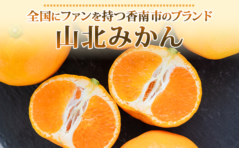 【2026年発送分】山北温室みかん1.2kg 秀品 果物 柑橘 ミカン 蜜柑 フルーツ ku-0050 約1.2kg