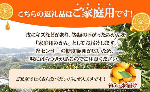 【令和8年10月下旬発送開始】山北みかん 5kg(家庭用・露地) 果物 フルーツ 温州みかん ミカン 柑橘 おいしい 甘い 送料無料 高知県 香南市 常温 ku-0054