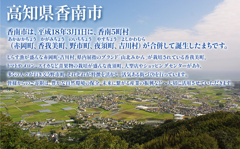 寄附のみの応援受付(返礼品はございません) 高知県 香南市 返礼品なし 寄付 ky-01