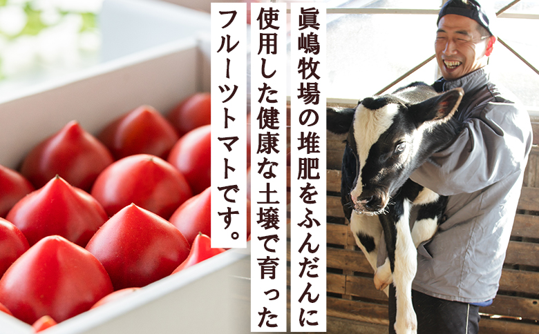 野菜ソムリエが育てた うしの惠フルーツトマト 1kg(500g×2) mj-0025