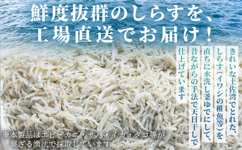 【冷蔵】釜あげしらす(ちりめん) 約1kg mu-0008