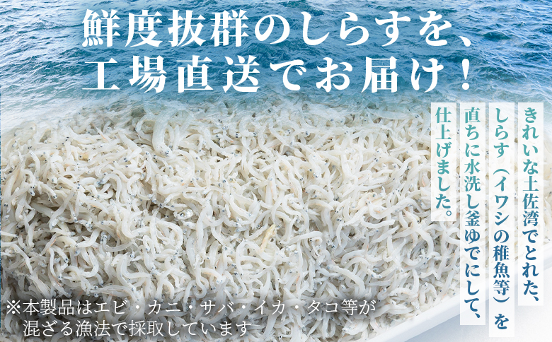 【冷蔵】釜出ししらす(ちりめん) 約500g mu-0009