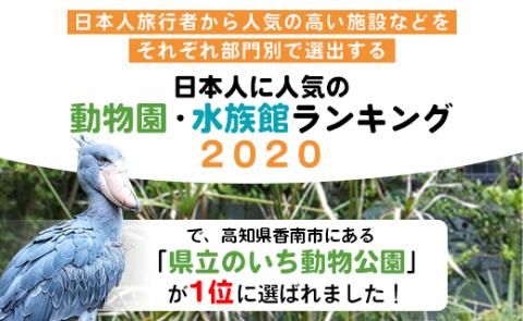 のいち動物公園の年間入園券引換券 - 送料無料 大人用 1枚 動物園 入場券 チケット 観光 遊び 癒しスポット 年パス 年間パスポート 旅行 トラベル 施設 アニマル 高知県 香南市 ni-0003