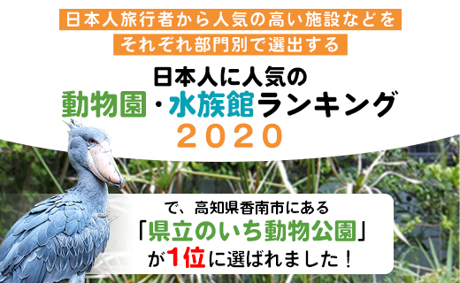 【返礼品なし】高知県立のいち動物公園 動物支援(飼料費支援) 20,000円 ni-0007