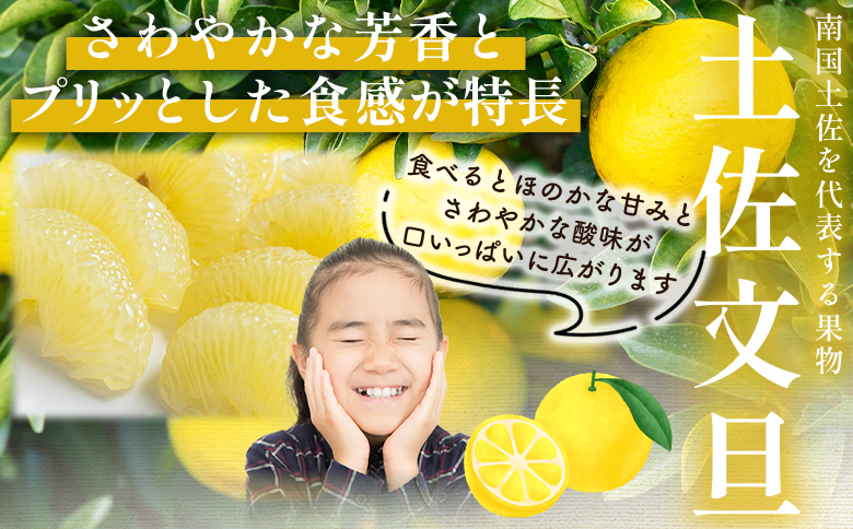 文旦 10kg 家庭用 混合（L〜2Lサイズ） 文旦 高知 訳あり ぶんたん ブンタン わけあり 10キロ 果物 柑橘 フルーツ 香南市産 高知県 nm-0002