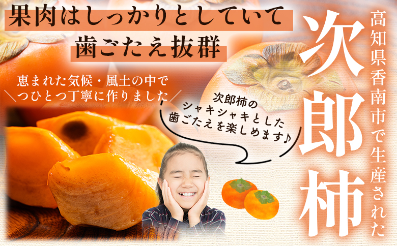 歯ごたえ抜群！次郎柿 3kg くだもの 果物 フルーツ 柿 かき カキ ３きろ ３キロ 美味しい 栄養 高知県 香南市 nm-0003