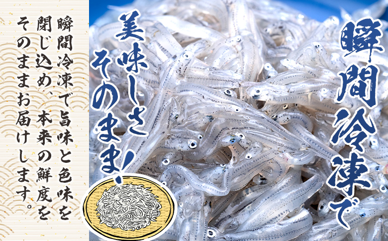 鮮度抜群の生しらす 100g×5袋 nz-0092