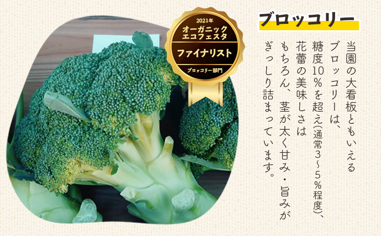 栄養豊かで身体に優しいブロッコリー 約2kg 4～5個入り sy-0010