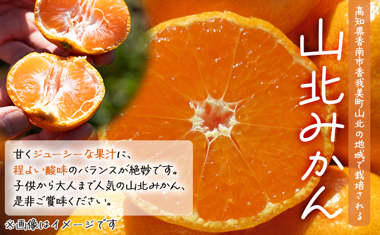 【2026年11月中旬より順次配送】高橋農園【訳あり】山北みかん 露地(Ｓ～Ｍ)Ｂ品 5kg th-0026