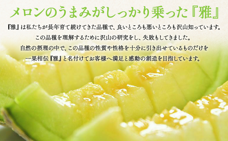 【先行予約受付】メロン 赤肉 青肉 家庭用 2玉 高級 雅&妃 マスクメロン 各１玉 - 青肉メロン 赤肉メロン セット めろん フルーツ くだもの 果物 完熟 おやつ ご褒美 果肉 果汁 ジューシー 果実 甘い 糖度 産地直送 篤農 tn-0026