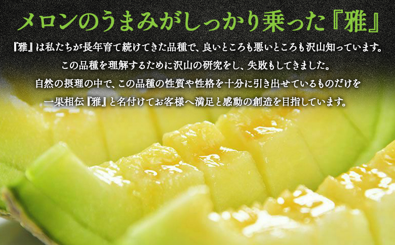 【先行予約受付】メロン 赤肉 青肉 ２玉 高級 上級品 雅&妃 マスクメロン 各１玉 - 青肉メロン 赤肉メロン セット めろん フルーツ くだもの 果物 完熟 おやつ 化粧箱入り ご褒美 果肉 果汁 ジューシー 果実 甘い 糖度 産地直送 篤農 tn-0027