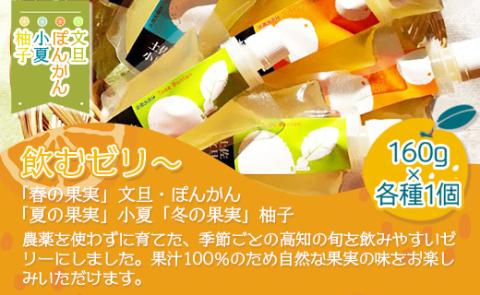 土佐の果実・飲むゼリー 4個セット - 詰め合わせ つめあわせ 飲み比べ のむゼリー フルーツ スイーツ 果物 柑橘 おいしい 美味しい 甘い あまい デザート 贈り物 ギフト 香南市 ts-0006