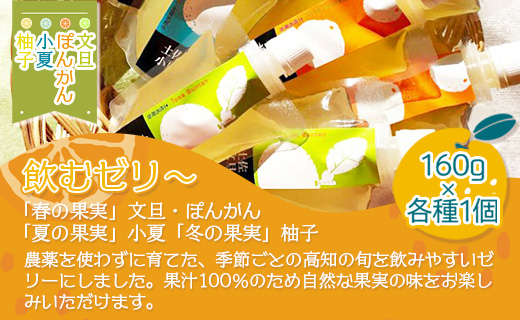 土佐の果実・飲むゼリー(4個セット) ts-0010 4個