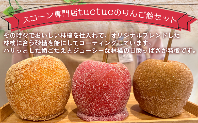 りんご飴 6種類から選べる3本セット 個包装 キャンディーシュガー レモンシュガー シナモンシュガー あまおう苺シュガー 紅茶シュガー ココアシュガー リンゴ 林檎 スイーツ おやつ お菓子 tt-0015