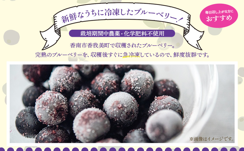 完熟 冷凍ブルーベリー 約600g(200g×3) yg-0027