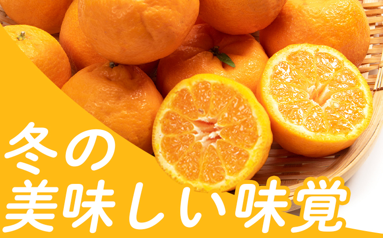 山北ポンカン 家庭用 3kg(約18～30個程度) - 果物 フルーツ 柑橘類 ぽんかん ミカン 蜜柑 訳アリ わけあり 生産者応援 甘い おいしい 美味しい 山北みらい 高知県 香南市 yk-0068