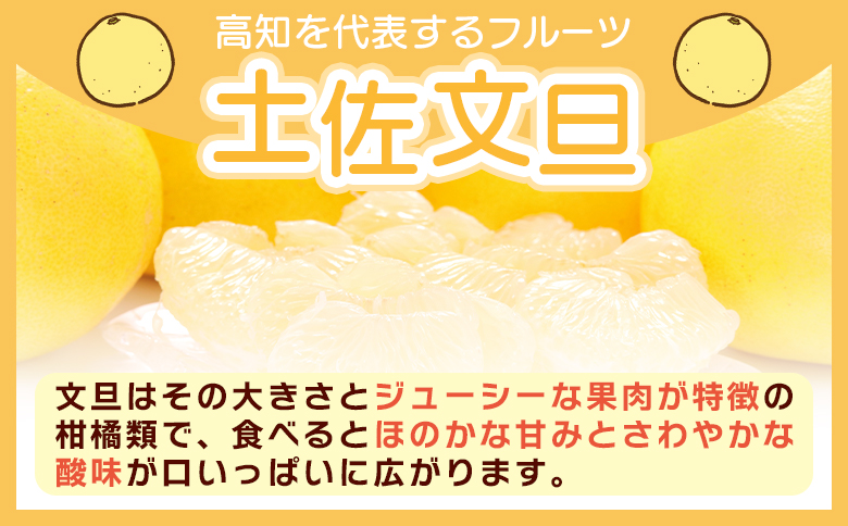 【先行予約】土佐文旦 家庭用 10kg 大小混合(L～3L) 約18～28玉入り yk-0070