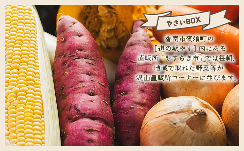 先行予約！産地直送やさいBOX - 野菜 ベジタブル おまかせ 詰め合わせ セット 季節 旬 お任せ 10種類前後 お楽しみ ヘルシー 国産 特産品 送料無料 やすらぎ市 高知県 香南市 冷蔵 yr-0011