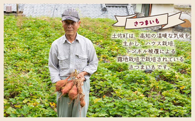 【８月発送開始】さつまいも（土佐紅）4kg - サツマイモ さつま芋 野菜 焼き芋 やきいも 焼いも おやつ スイーツ スイートポテト バター焼き アレンジ 料理 国産 高知県 香南市 yr-0044